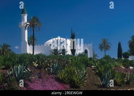 Koenig Abdul Aziz al Saud, Marbella, Proven. Malaga Andalusia, Spagna Foto Stock