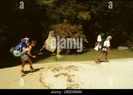 Trampers, passeggiata costiera Abel Tasman, NZ, famiglia Backpacker, trampers sulla pista costiera Abel Tasman, una delle grandi passeggiate della Nuova Zelanda, sabbia dorata, turchese Foto Stock