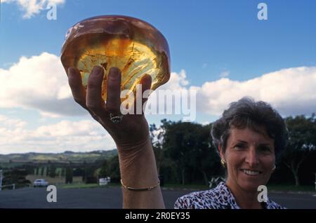 Kauri Museum, Matakohe, Kauri Gum, di fronte al Matakohe Museum a Northland, North Island New Zealand Foto Stock