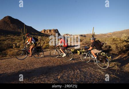 Trekkingrad-Apache Trail, Apache Trail Arizona-USA Foto Stock