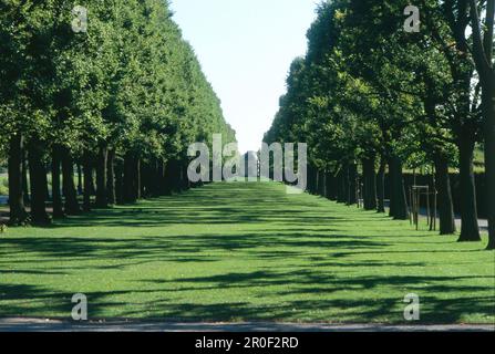 Herrenhaeuser Garden, Hannover, bassa Sassonia, Germania Foto Stock