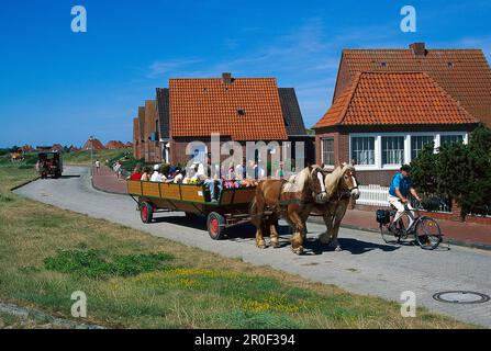 Carrozza trainata da cavalli, Juist, Isole della Frisia orientale, Frisia orientale, bassa Sassonia, Germania Foto Stock