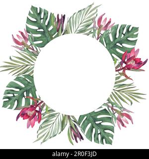 Corona con acquerello con palma tropicale e foglie di monstera e fiori protea. Clipart disegno giungla disegnato a mano. Modello per Foto Stock