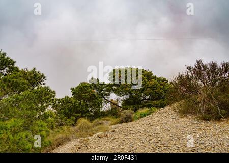 Castillitos batteria, Cartagena. Murcia. Spagna. Foto Stock