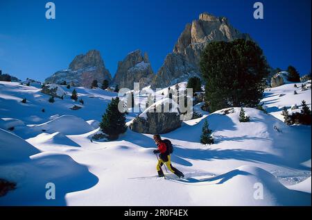 Racchette da neve giovane, Sella-Ronda, Dolomiti, Italia Foto Stock