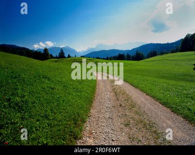 Percorso attraverso prati, Werdenfelser Land, alta Baviera, Germania Foto Stock