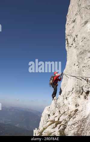 Giovane arrampicatrice femminile sulla fune fissa Donnerkogel, Gosaukamm, montagna Dachstein, Austria Foto Stock