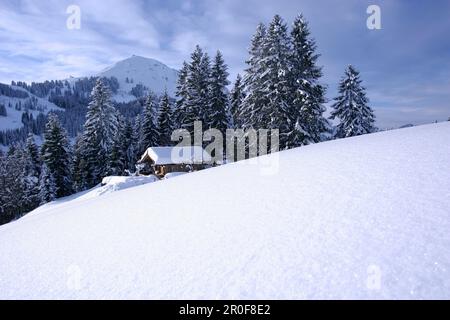 Rifugio alpino, rifugio nella neve, con l'Hohe Salve sullo sfondo, Brixen im Thale, Alpi Tirolo, Austria Foto Stock