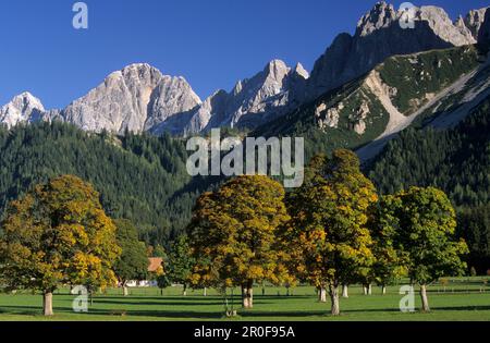 Ramsau con vista sulle montagne di Dachstein, la catena montuosa di Dachstein, Stiria, Austria Foto Stock