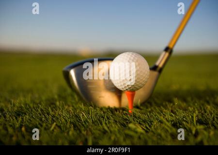 Golf club e pallina da golf, close-up Foto Stock