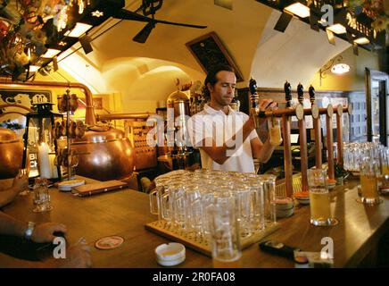 Barista che versa la birra, Hopfen Pub, Bolzano, Alto Adige, Italia Foto Stock