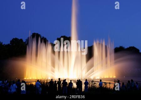 Fontana illuminata, parco nel centro della città, quartiere Neustadt, Amburgo, Germania Foto Stock