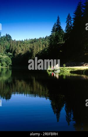 Nonnenmattweiher, Foresta Nera, Baden-Wuerttemberg, Germania Foto Stock