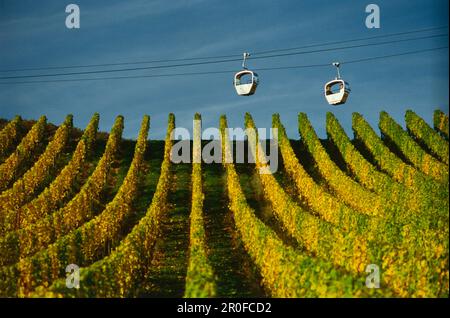 Funivia per Niederwalddenkmal, Rudesheim am Rhein, fiume Reno, Assia, Germania Foto Stock