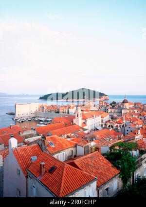 Vista sui tetti di Dubrovnik fino all'isola di Lokrum, Dubrovnik, Dalmazia, Croazia Foto Stock