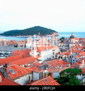 Vista sui tetti di Dubrovnik fino all'isola di Lokrum, Dubrovnik, Dalmazia, Croazia Foto Stock