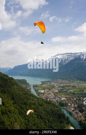 Parapendio in tandem su Interlaken, Oberland Bernese, Canton Berna, Svizzera Foto Stock