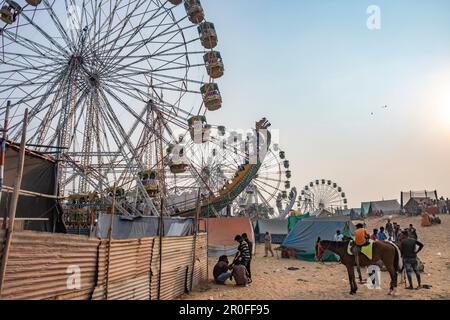 Dietro le quinte della fiera del cammello di Pushkar, Pushkar, Rajasthan, India Foto Stock