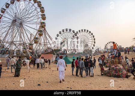 Dietro le quinte della fiera del cammello di Pushkar, Pushkar, Rajasthan, India Foto Stock