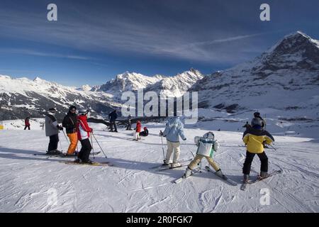 Svizzera alpi bernesi Monte Maennlichen pista da sci e snowboard Foto Stock