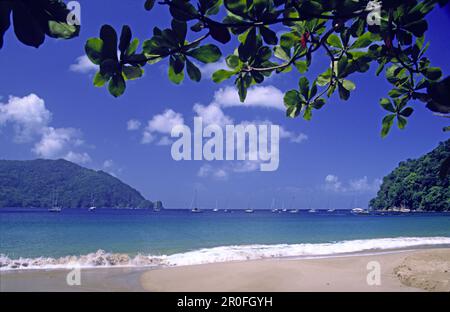 Tobago, Charlotteville, Man of War Bay, Beach Foto Stock