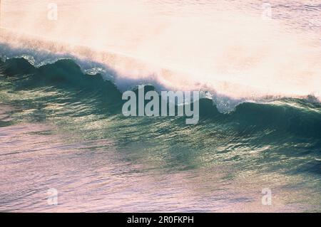 Perfetta onda, Fuerteventura, Isole Canarie, Spagna Foto Stock