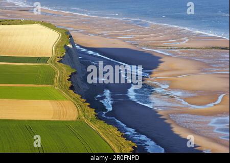 Vista da Cap Blanc-Nez, la Cote d'Opale, Picardie-Nord, dept Pas-de-Calais, Francia, Europa Foto Stock