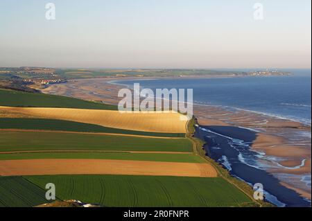 Vista da Cap Blanc-Nez a Cap Gris-Nez, la Cote d'Opale, Picardie-Nord, dept Pas-de-Calais, Francia, Europa Foto Stock