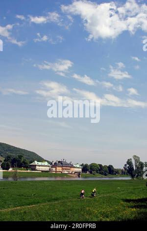 Castello di Pillnitz, Pillnitz, Dresda, Sassonia, Germania Foto Stock