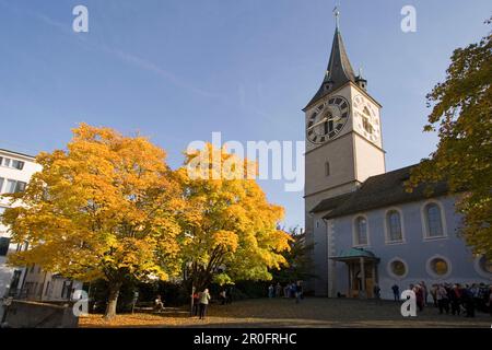 Svizzera, Zuerich, St. Peterhofstatt, St Peters chiesa, edificio storico autunno, 13th ° secolo, il più grande orologio faccia in europa Foto Stock