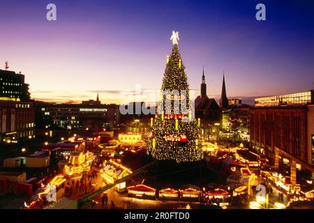 Ammira il mercato di Natale con il gigantesco albero di Natale in serata, Dortmund, Renania settentrionale-Vestfalia, Germania Foto Stock