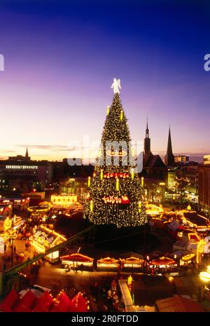 Ammira il mercato di Natale con il gigantesco albero di Natale in serata, Dortmund, Renania settentrionale-Vestfalia, Germania Foto Stock