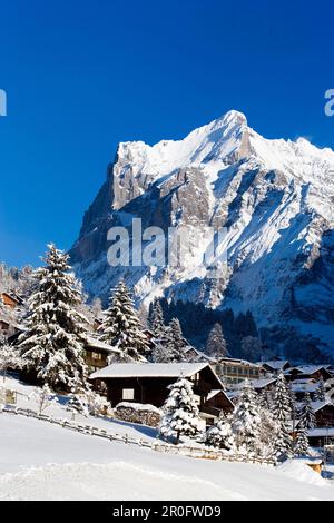 Rifugi alpini di fronte all mountain Wetterhorn, Grindelwald, Oberland bernese, il Cantone di Berna, Svizzera Foto Stock