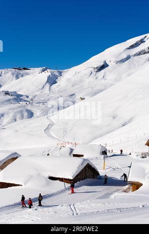 Sciatori in pendenza, Schilt in background, primo, Grindelwald, Oberland Bernese, Canton Berna, Svizzera Foto Stock