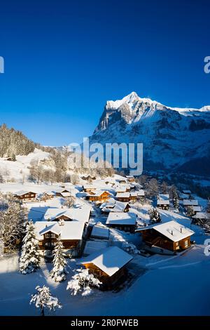 Vista su Grindelwald con la montagna Wetterhorn in background, Grindelwald, Oberland bernese, il Cantone di Berna, Svizzera Foto Stock