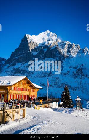 Ristorante di montagna Bort con montagna Wetterhorn sullo sfondo, primo, Grindelwald, Oberland Bernese, Canton Berna, Svizzera Foto Stock