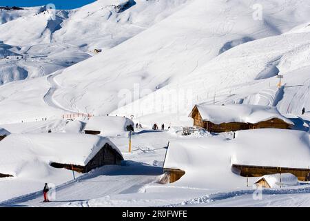 Sciatori in pendenza, Schilt in background, primo, Grindelwald, Oberland Bernese, Canton Berna, Svizzera Foto Stock