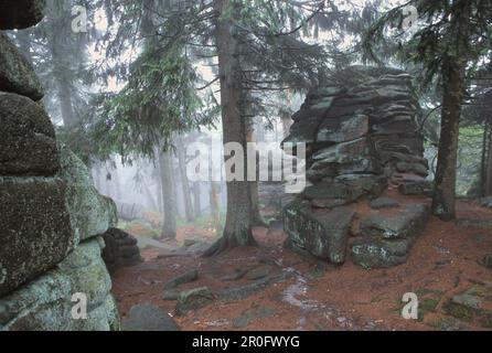 Formazione rocciosa nei pressi di Dreisessel, Foresta Bavarese, Baviera, Germania Foto Stock