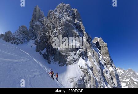 Due sciatori backcountry ascendente, Griesner Kar, Wilder Kaiser, Kaiser gamma, Tirolo, Austria Foto Stock