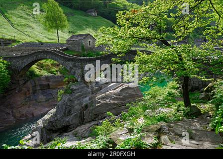 Ponte dei sali che attraversa Verzasca, Lavertezzo, Valle Verzasca, Ticino, Svizzera Foto Stock