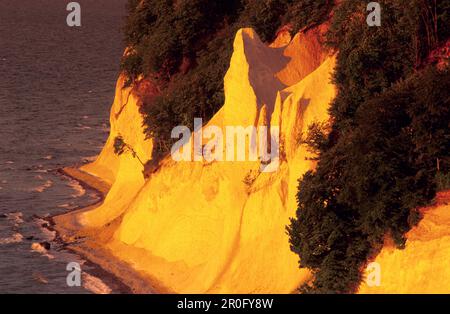 Europa, Germania, Meclemburgo-Pomerania occidentale, isola di Rügen, Wissower Klinken, Scogliere di chalk al Jasmund National Park Foto Stock