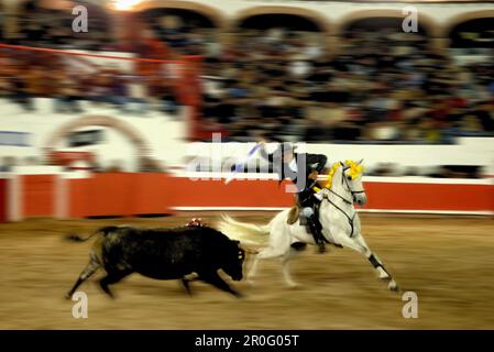 Corrida con picador a San Miguel de Allende, Messico Foto Stock