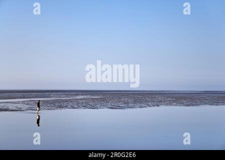 Persona che cammina attraverso il mudflat, l'isola di Pellworm, Schleswig-Holstein, Germania Foto Stock