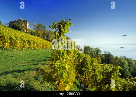 Mansion nei vigneti vicino Meersburg, Lago di Costanza, Baden-Wurttemberg, Germania Foto Stock