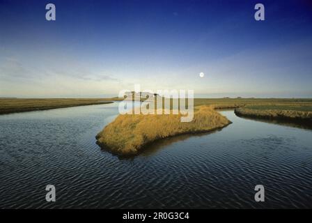 All'alba su case in tumulo, Langeneß holm, Frisia del Nord, Mare del Nord, Schleswig-Holstein, Germania Foto Stock