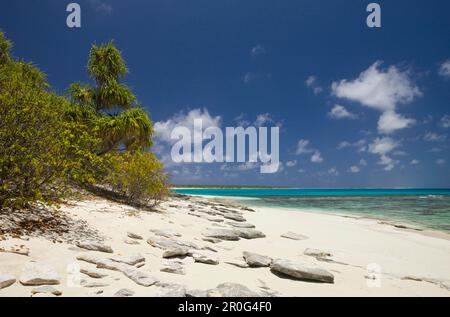 Spiaggia e laguna di Bikini, Isole Marshall, Atollo Bikini, Micronesia, Oceano Pacifico Foto Stock