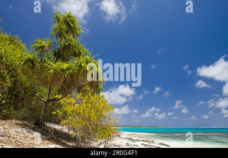 Spiaggia e laguna di Bikini, Isole Marshall, Atollo Bikini, Micronesia, Oceano Pacifico Foto Stock