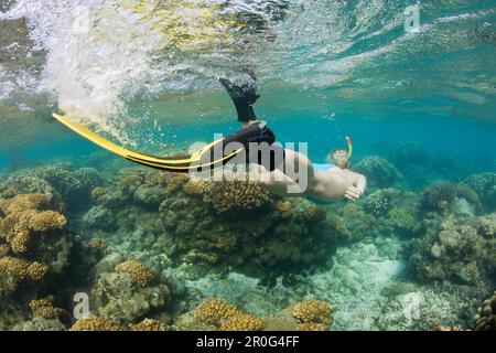 Lo snorkeling in Bikini Atoll Isole Marshall Bikini Atoll Micronesia ...