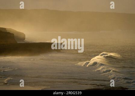 Onde al largo di Hanson Bay alla luce del sole della sera, Kangaroo Island, South Australia, Australia Foto Stock