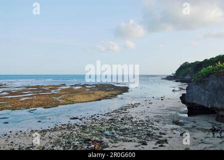 Costa rocciosa e spiaggia con bassa marea, pura Geger, Bali meridionale, Indonesia, Asia Foto Stock